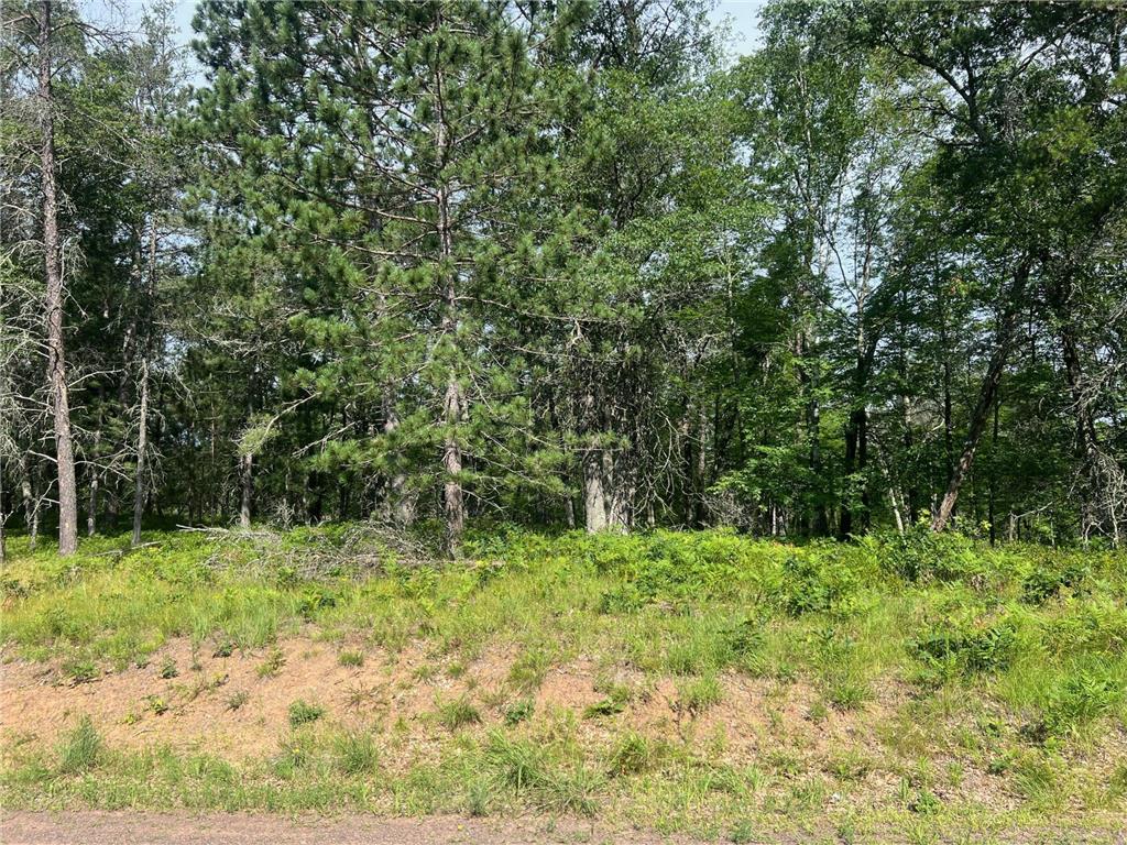 Lot 65 Three Mile Road Danbury WI 54830 6565527 image2
