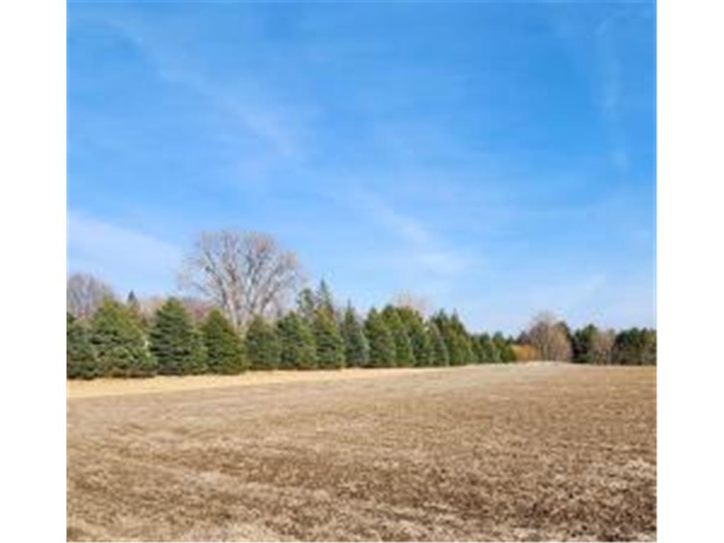 Lot 7 706th St Pepin Twp MN 55981 6800376 image4