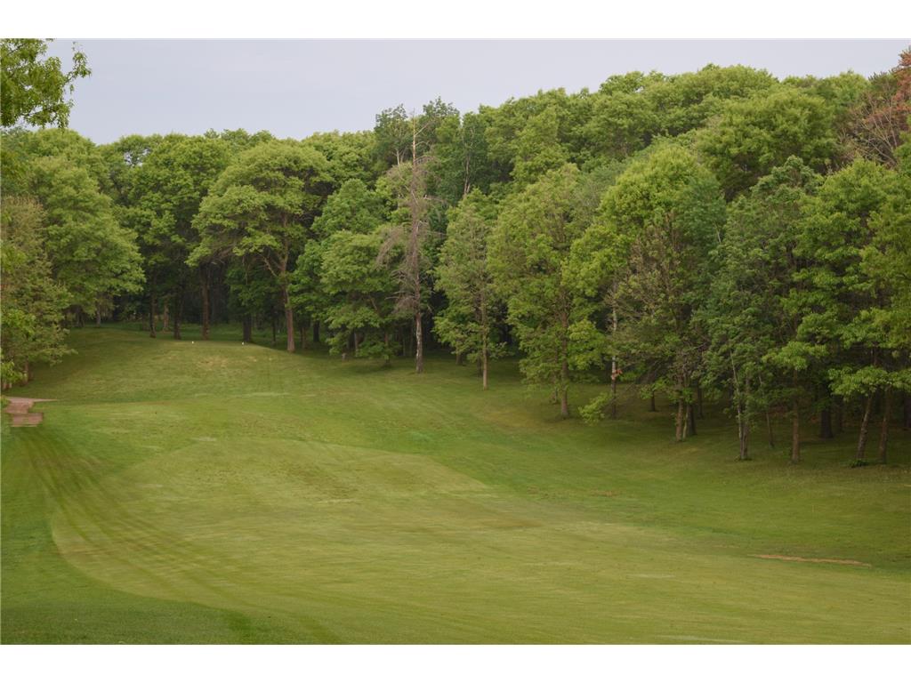 Lot 7 Block 1 Ridge Rd Motley MN 56466 6469709 image1