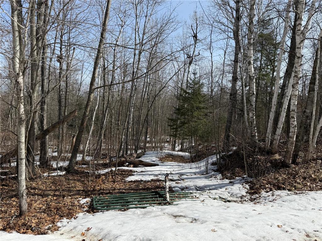 Lot 7 Block 1 Yellow Birch Ln Emily MN 56447 7038758 image1