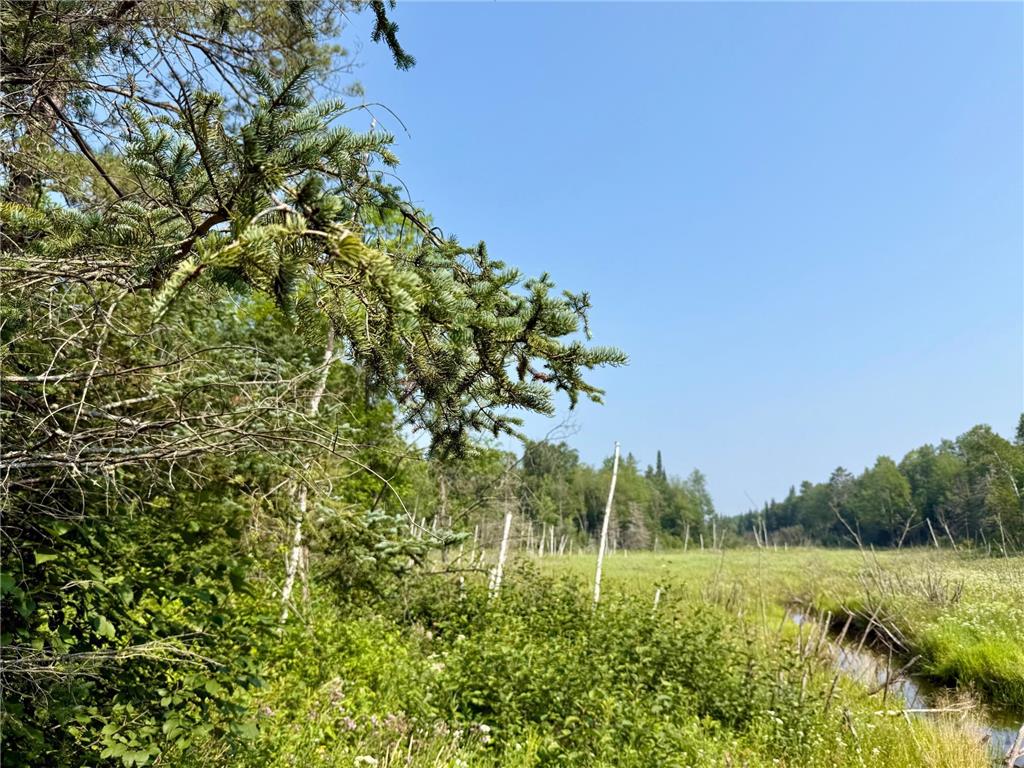 Lot 7 Block 1 Yellow Birch Ln Emily MN 56447 7038758 image10