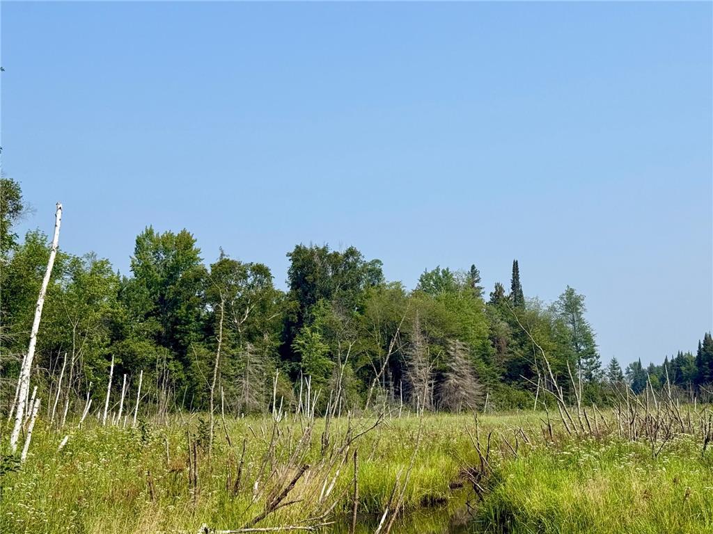 Lot 7 Block 1 Yellow Birch Ln Emily MN 56447 7038758 image11