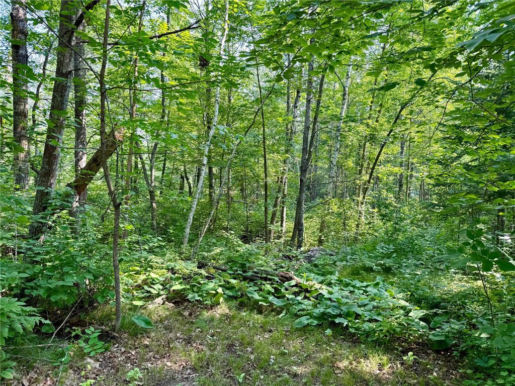 Lot 7 Block 1 Yellow Birch Ln Emily MN 56447 7038758 image12
