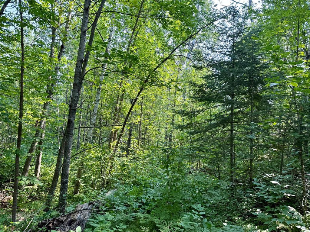 Lot 7 Block 1 Yellow Birch Ln Emily MN 56447 7038758 image13