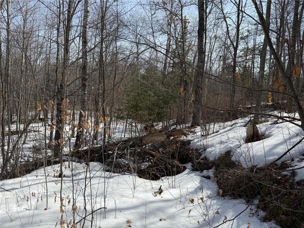Lot 7 Block 1 Yellow Birch Ln Emily MN 56447 7038758 image15