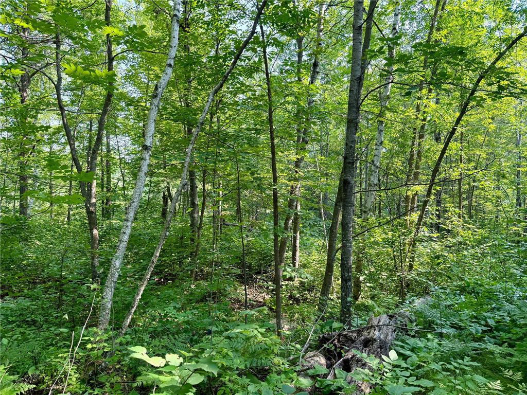 Lot 7 Block 1 Yellow Birch Ln Emily MN 56447 7038758 image17