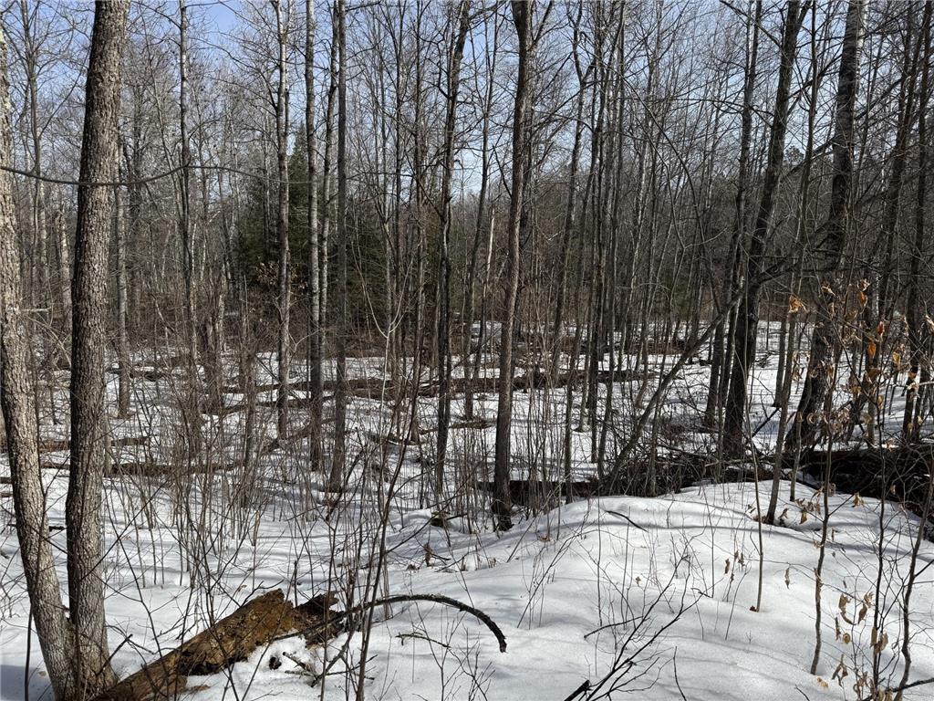 Lot 7 Block 1 Yellow Birch Ln Emily MN 56447 7038758 image4