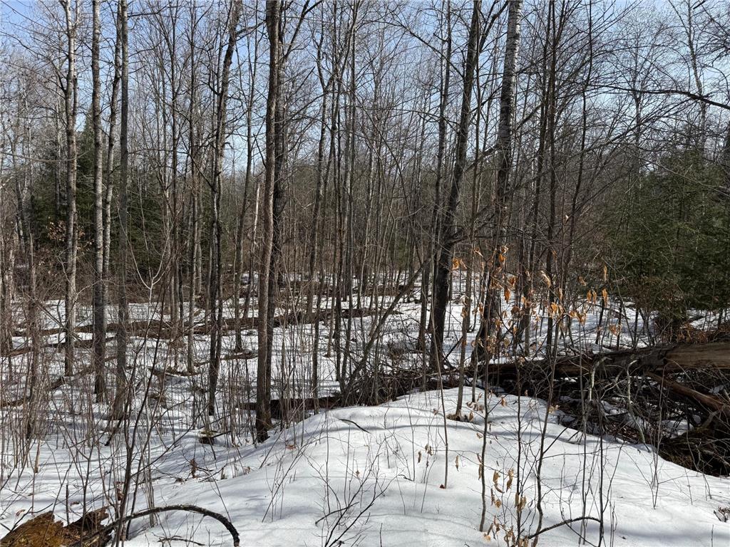 Lot 7 Block 1 Yellow Birch Ln Emily MN 56447 7038758 image5