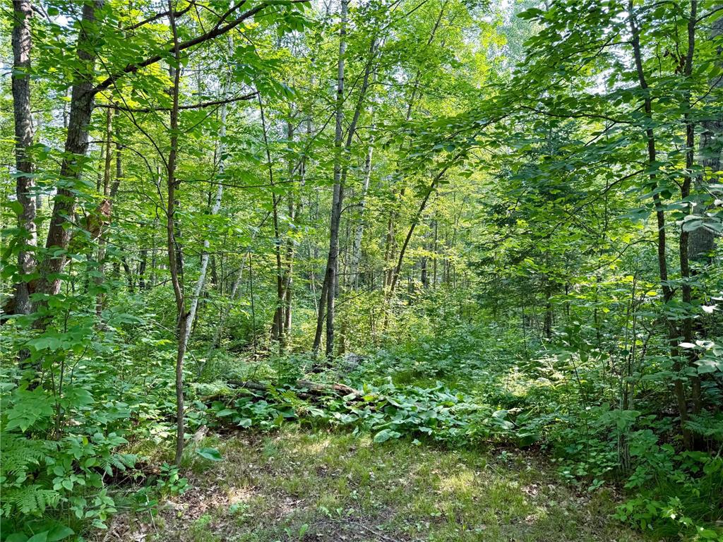 Lot 7 Block 1 Yellow Birch Ln Emily MN 56447 7038758 image6