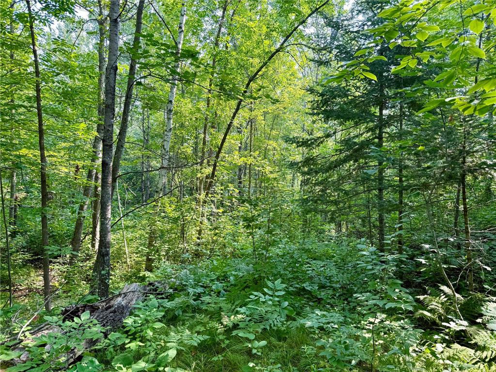 Lot 7 Block 1 Yellow Birch Ln Emily MN 56447 7038758 image7