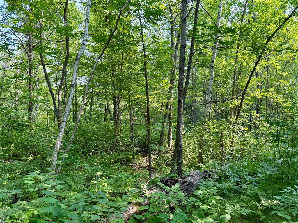 Lot 7 Block 1 Yellow Birch Ln Emily MN 56447 7038758 image8