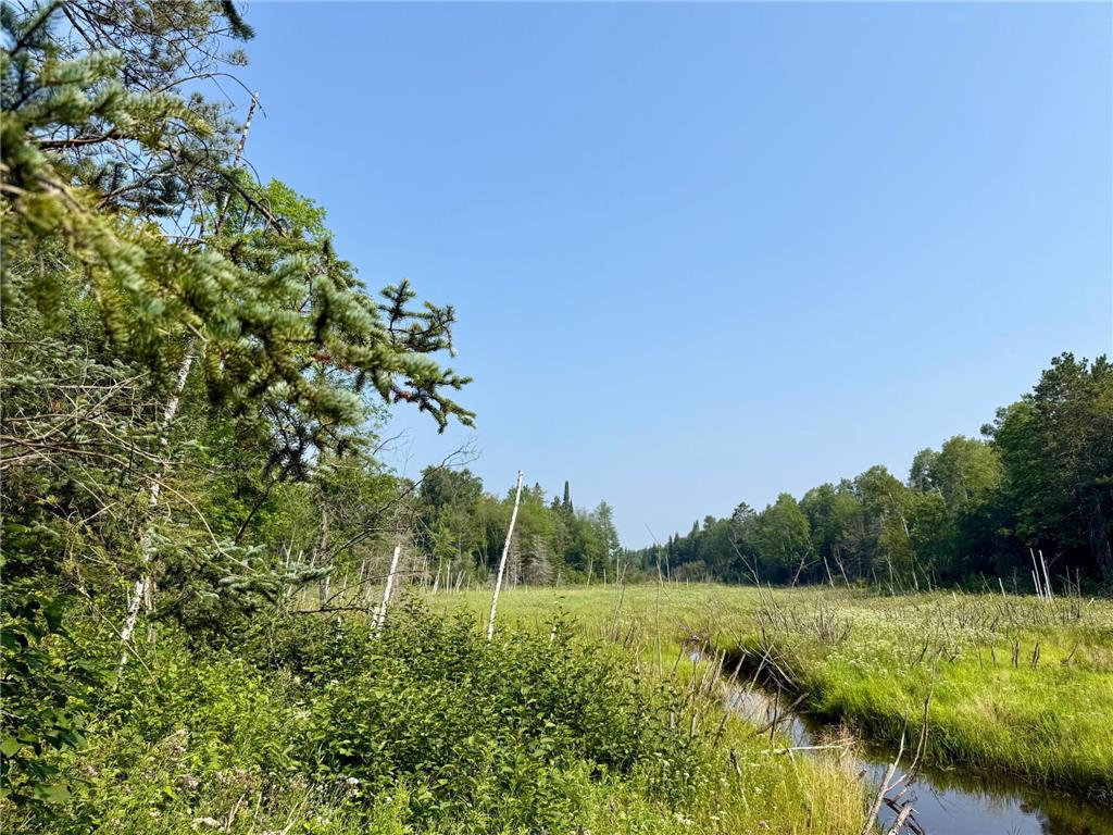 Lot 7 Block 1 Yellow Birch Ln Emily MN 56447 7038758 image9
