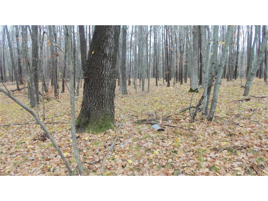 Lot 7 Herman Johnson Rd Siren Twp WI 54872 6815105 image10