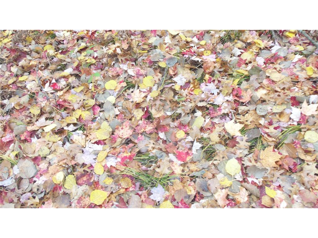 Lot 7 Herman Johnson Rd Siren Twp WI 54872 6815105 image4