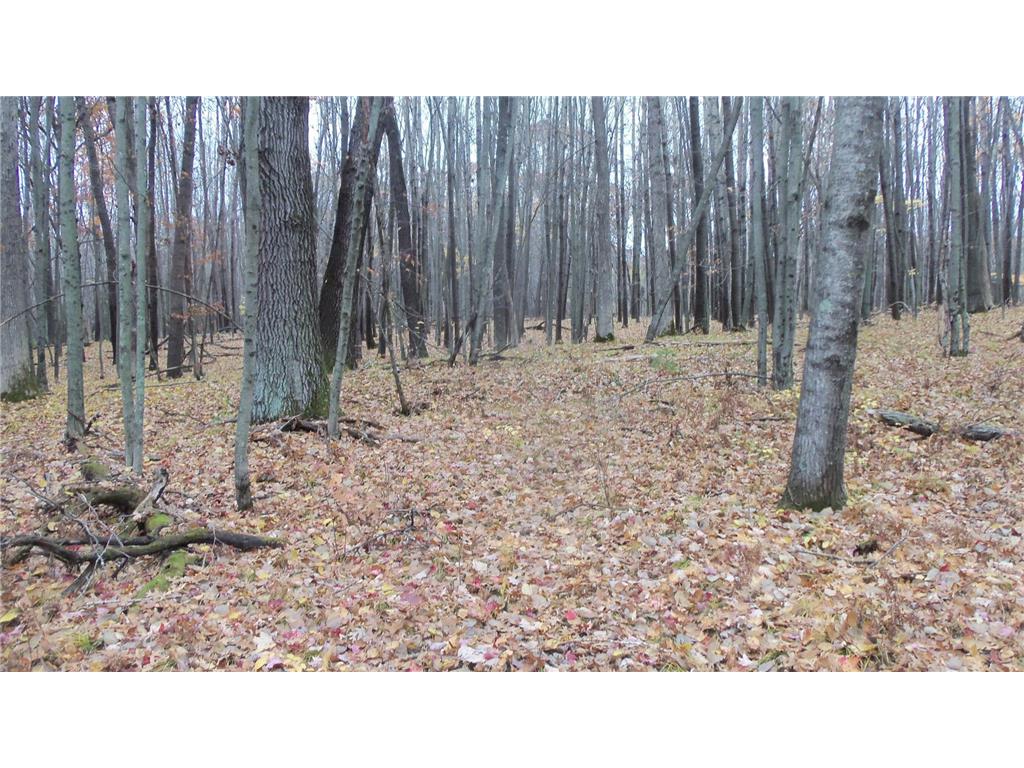 Lot 7 Herman Johnson Rd Siren Twp WI 54872 6815105 image5