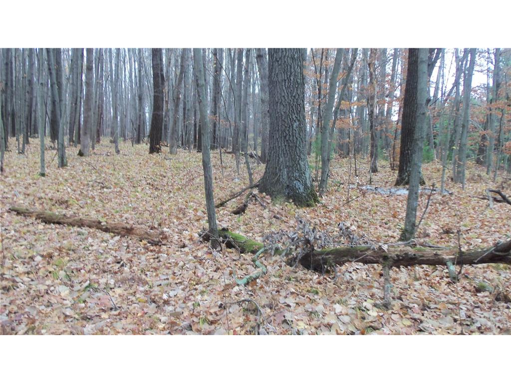 Lot 7 Herman Johnson Rd Siren Twp WI 54872 6815105 image6