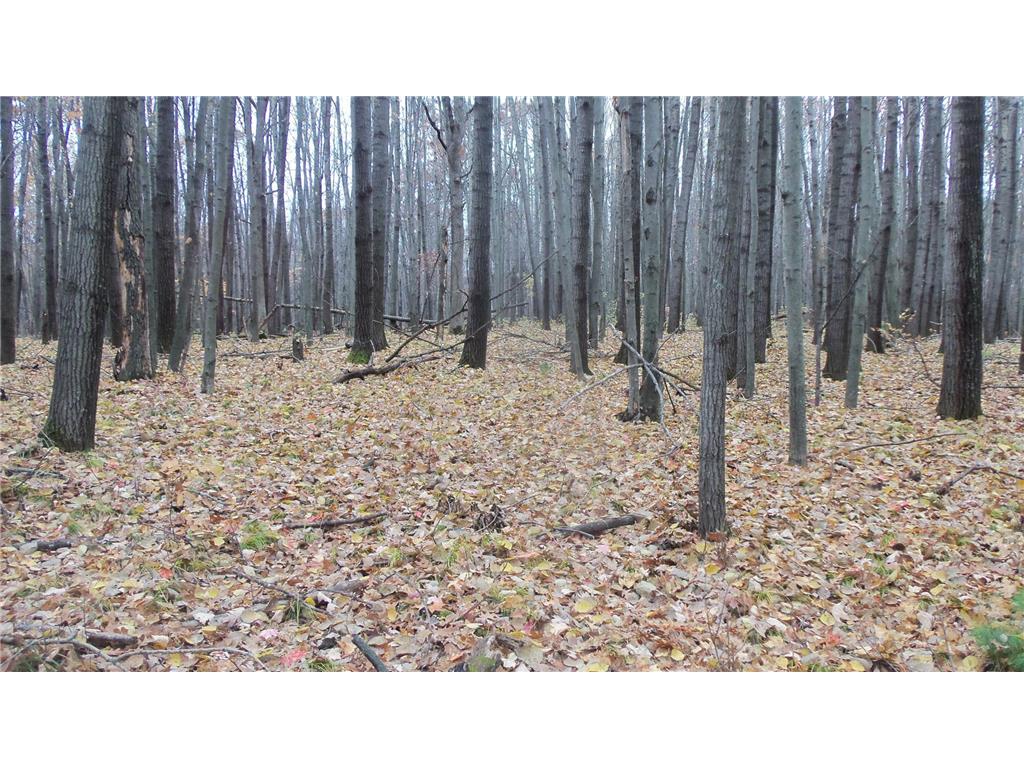 Lot 7 Herman Johnson Rd Siren Twp WI 54872 6815105 image7