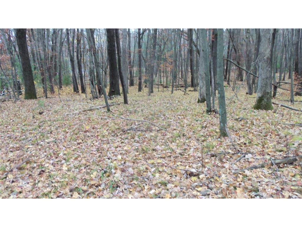 Lot 7 Herman Johnson Rd Siren Twp WI 54872 6815105 image8