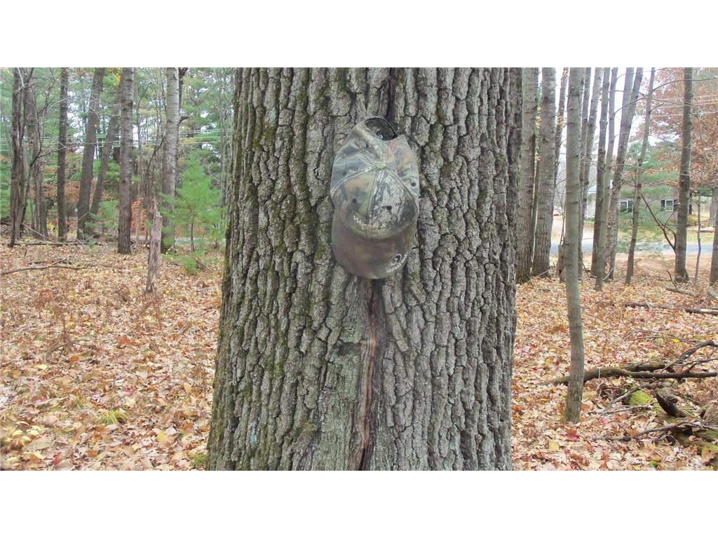 Lot 7 Herman Johnson Rd Siren Twp WI 54872 6815105 image9