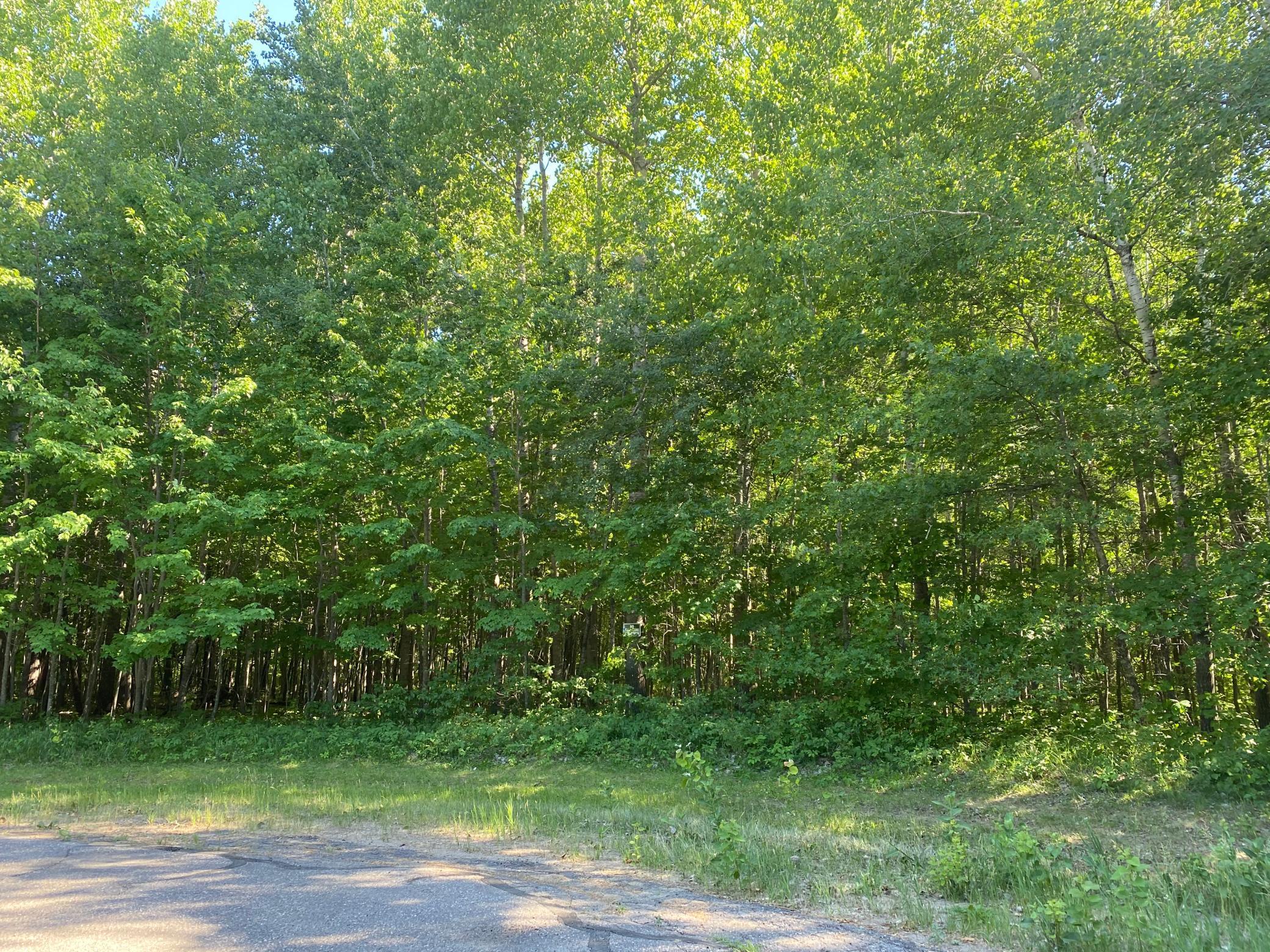 Lot 7 Home Place Drive Crow Wing Twp MN 56401 5730458 image1