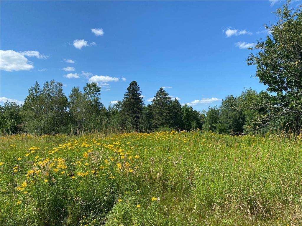 Lot 7 Jon Brown Drive Moose Lake MN 55767 6591681 image1