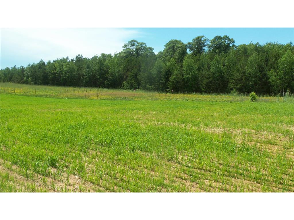 Lot 7 Maple Ln Siren WI 54872 6751936 image3