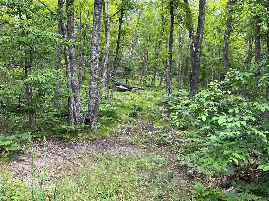 Lot 7 Shore Drive Emily MN 56447 6405665 image1