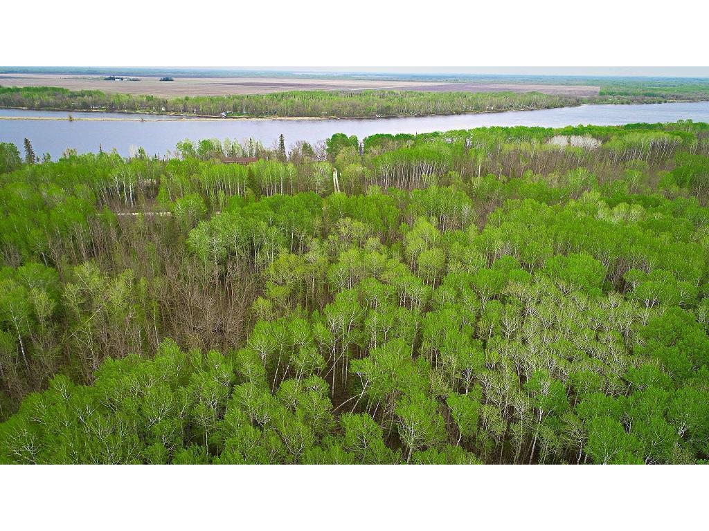 Lot 7 - TBD Driftwood Lane NW Baudette MN 56623 - Rainy River 6745240 image3