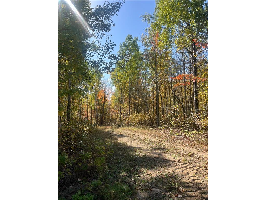 Lot 7 Wilderness Way Beatty Twp MN 55723 - Vermilion 6797998 image2