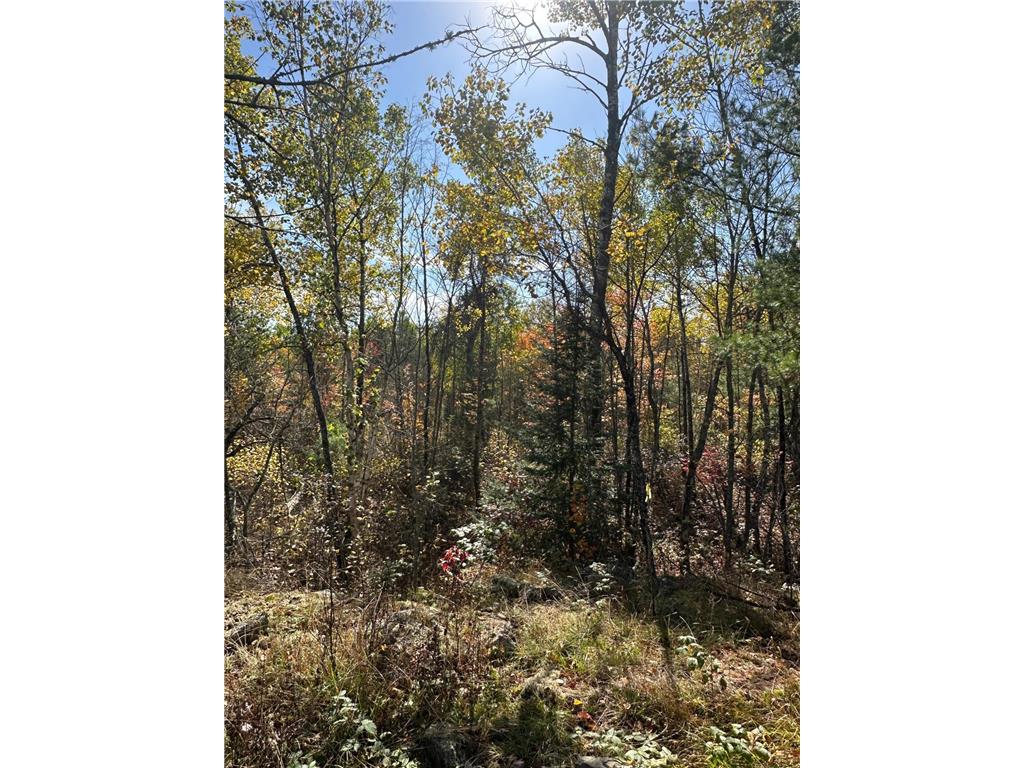 Lot 7 Wilderness Way Beatty Twp MN 55723 - Vermilion 6797998 image4