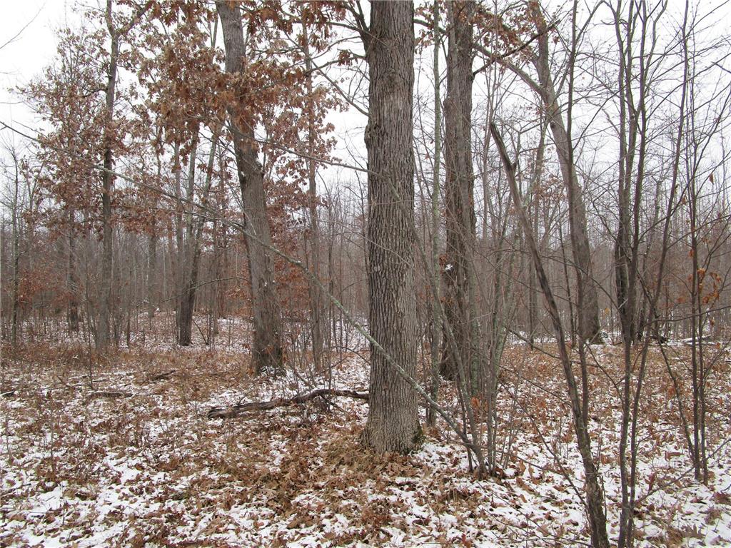 Lot 7 Winter Hill Trail Danbury WI 54830 6466816 image1