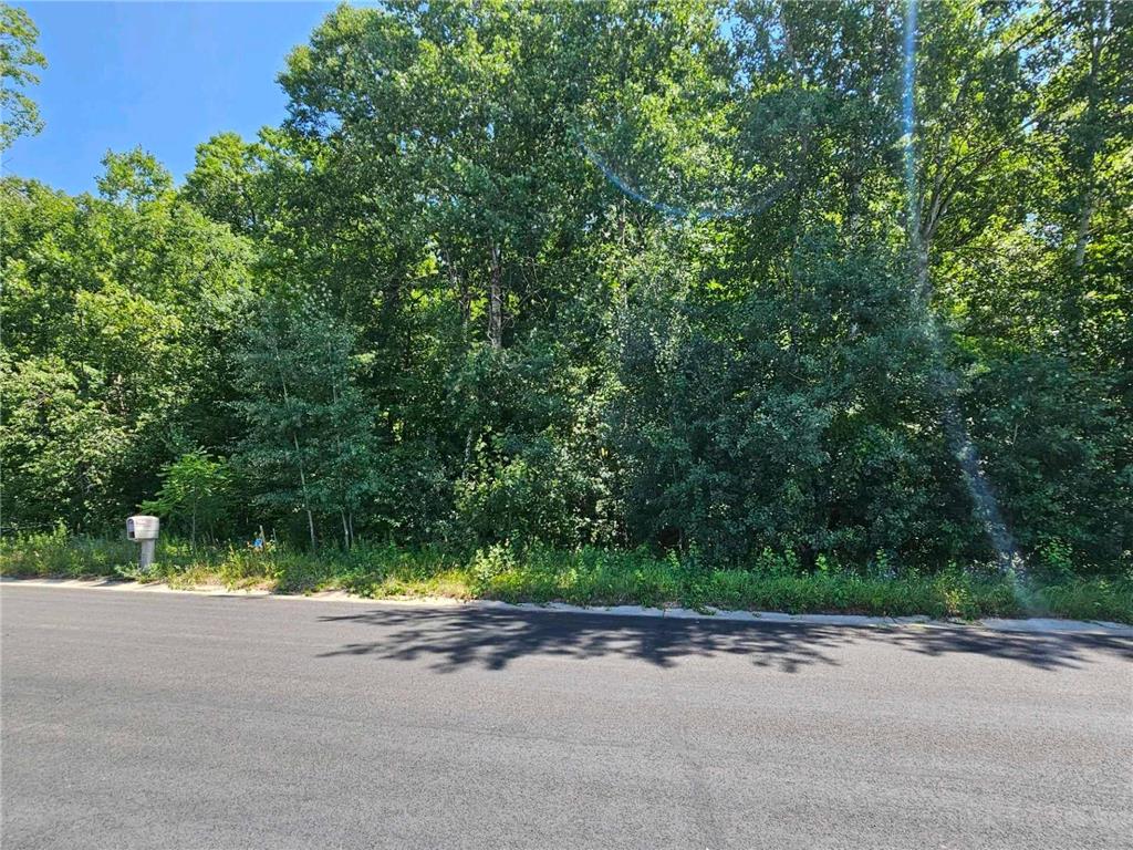 Lot 72 Roosevelt Avenue Dresser WI 54009 6408299 image1