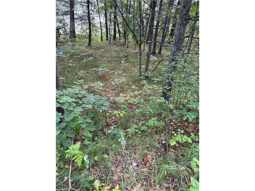 Lot 77 Airport Road Breezy Point MN 56472 7027869 image3