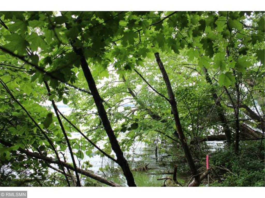 Lot 8 506th Street Avenue Nessel Twp MN 55069 - East Rush 6594420 image1