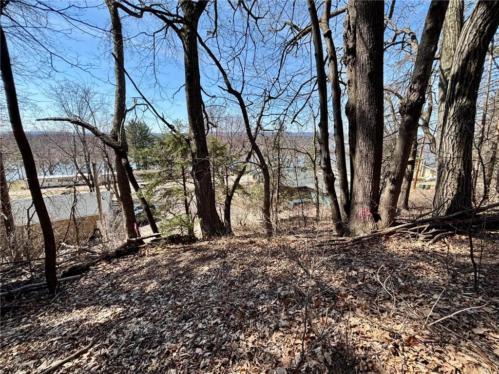 Lot 8 & 9 Windsong Terrace Alma WI 54610 6694217 image13