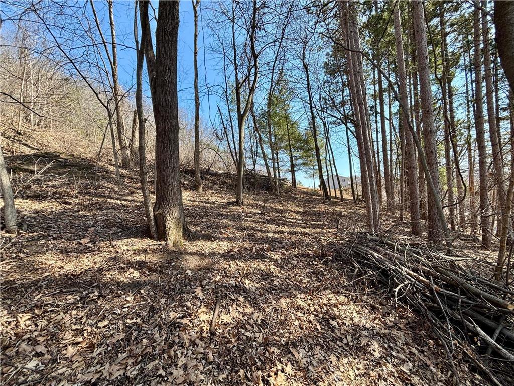 Lot 8 & 9 Windsong Terrace Alma WI 54610 6694217 image14