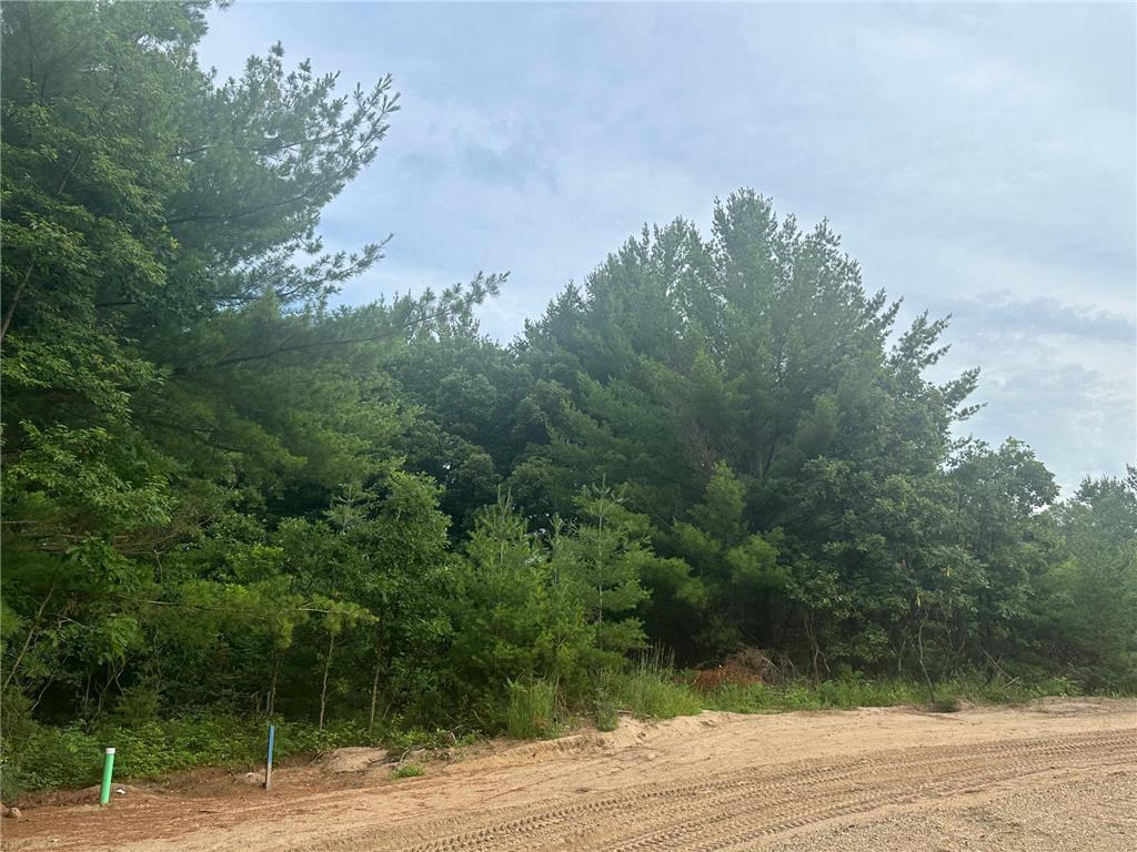 Lot 8 Blk 1 Ridgewood Drive Randall MN 56475 6593770 image1