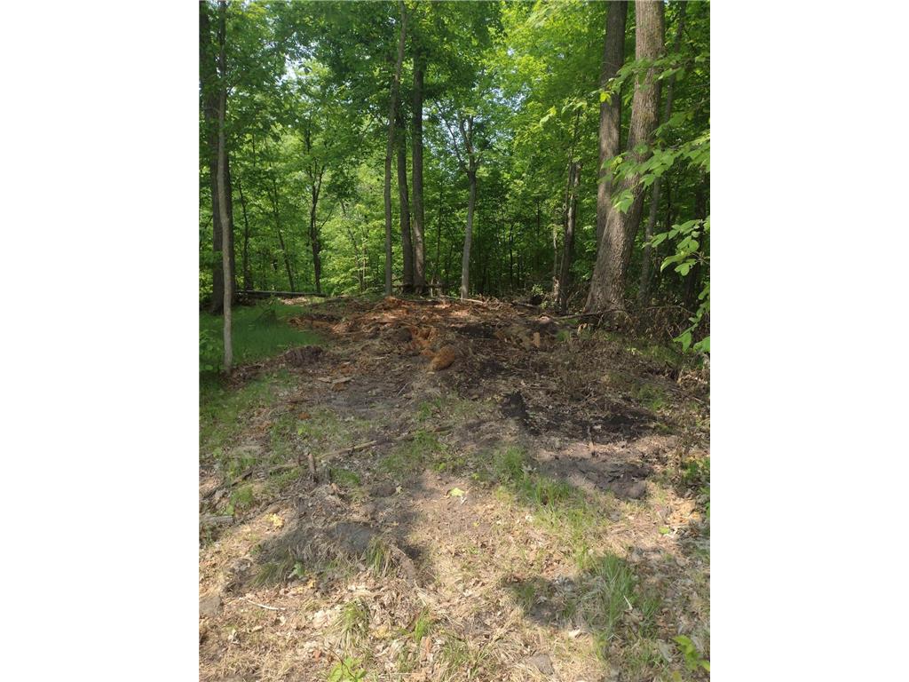 Lot 8 Block 2 Crystal Beach Road Pelican Rapids MN 56572 7009594 image4