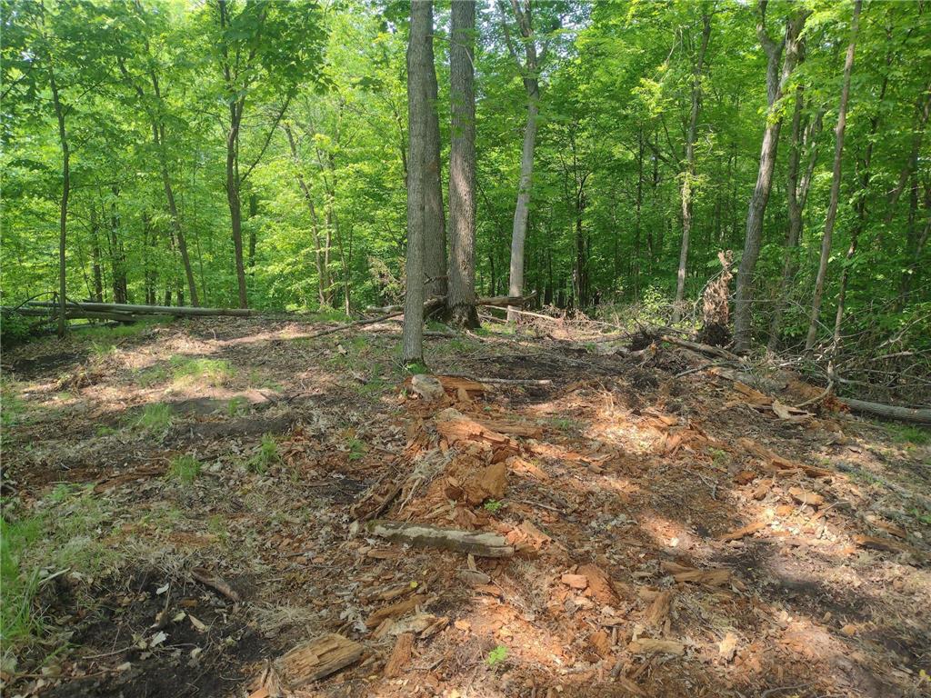Lot 8 Block 2 Crystal Beach Road Pelican Rapids MN 56572 7009594 image5
