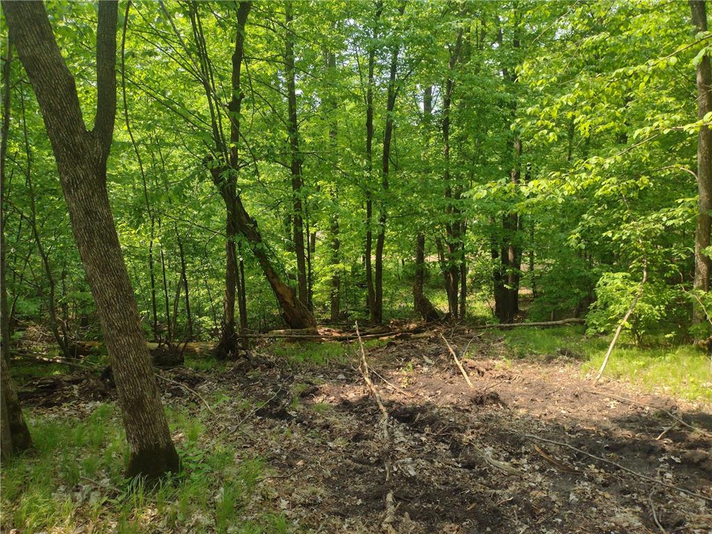 Lot 8 Block 2 Crystal Beach Road Pelican Rapids MN 56572 7009594 image6