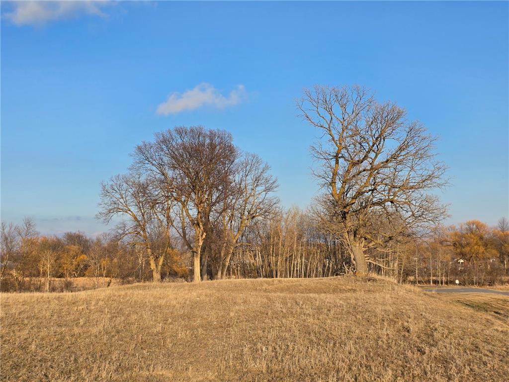 Lot 8 Branch Creek Road Detroit Lakes MN 56501 - Detroit 7049051 image1