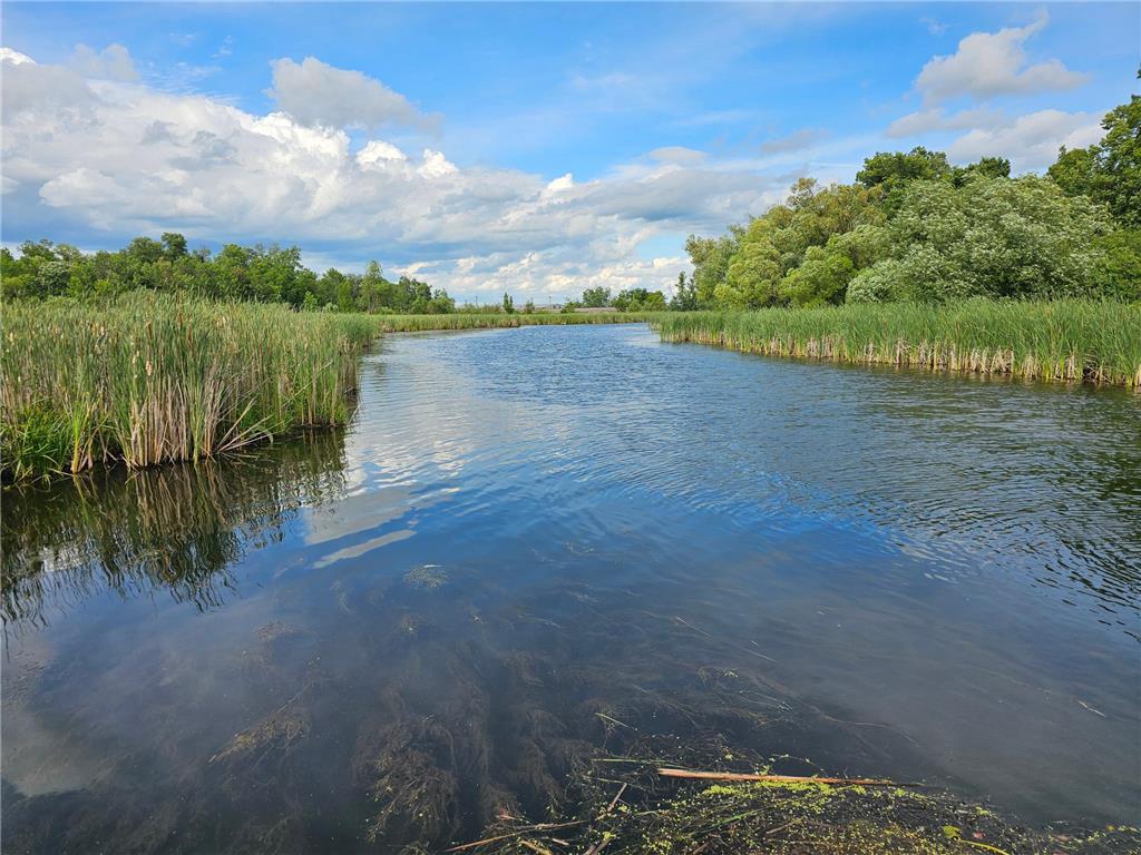 Lot 8 Branch Creek Road Detroit Lakes MN 56501 - Detroit 7049051 image11