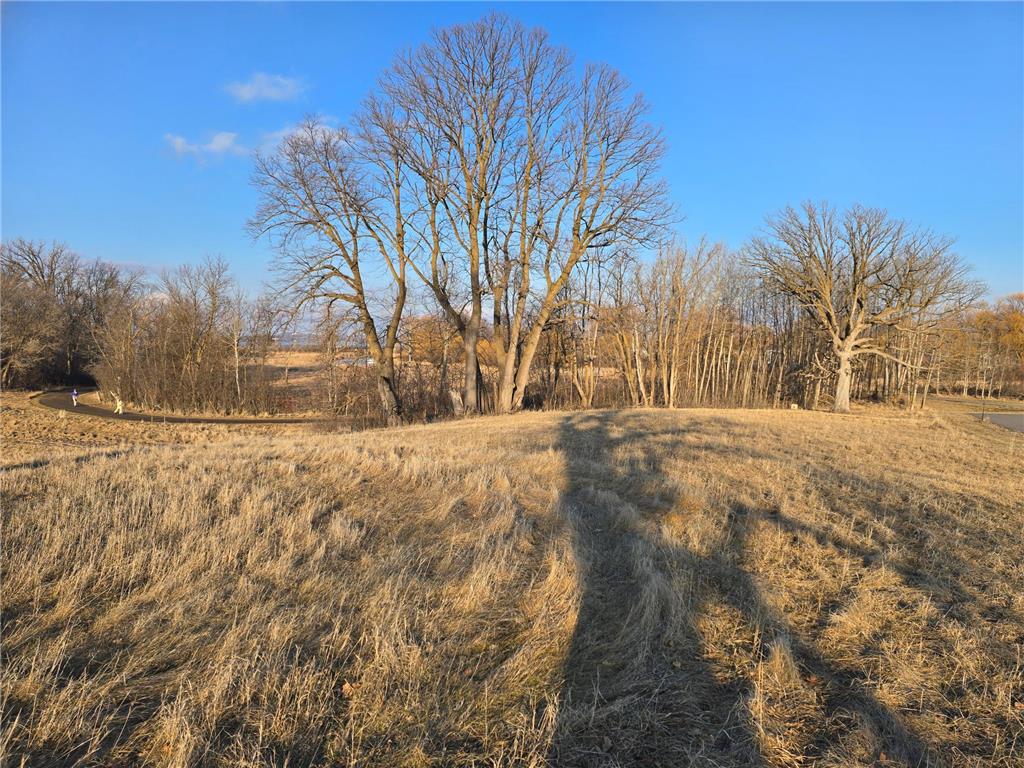 Lot 8 Branch Creek Road Detroit Lakes MN 56501 - Detroit 7049051 image17
