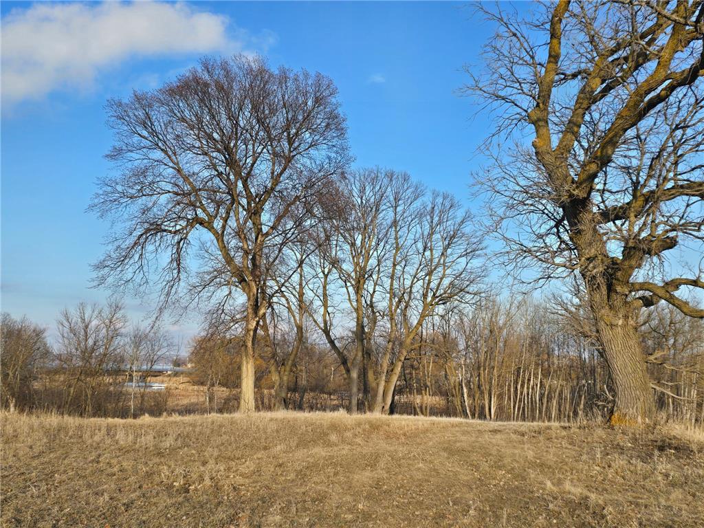 Lot 8 Branch Creek Road Detroit Lakes MN 56501 - Detroit 7049051 image20