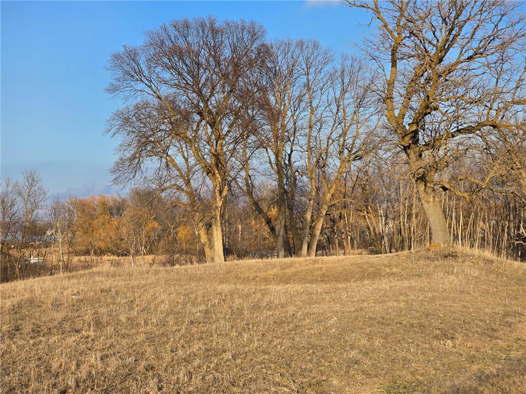 Lot 8 Branch Creek Road Detroit Lakes MN 56501 - Detroit 7049051 image3