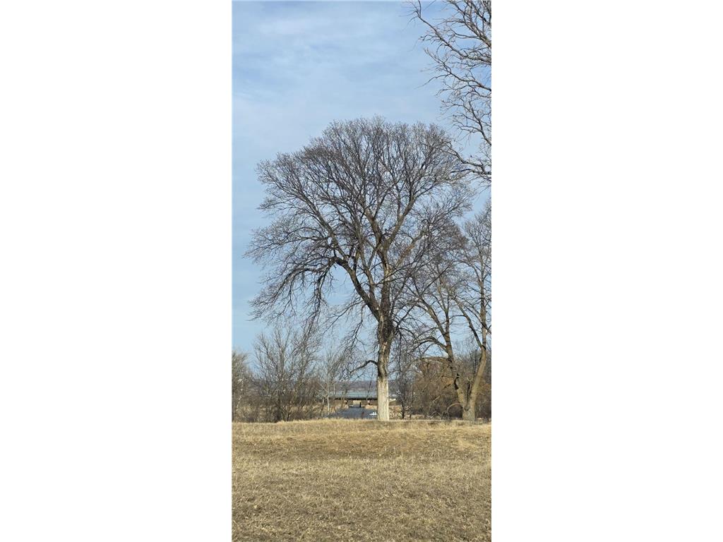 Lot 8 Branch Creek Road Detroit Lakes MN 56501 - Detroit 7049051 image4