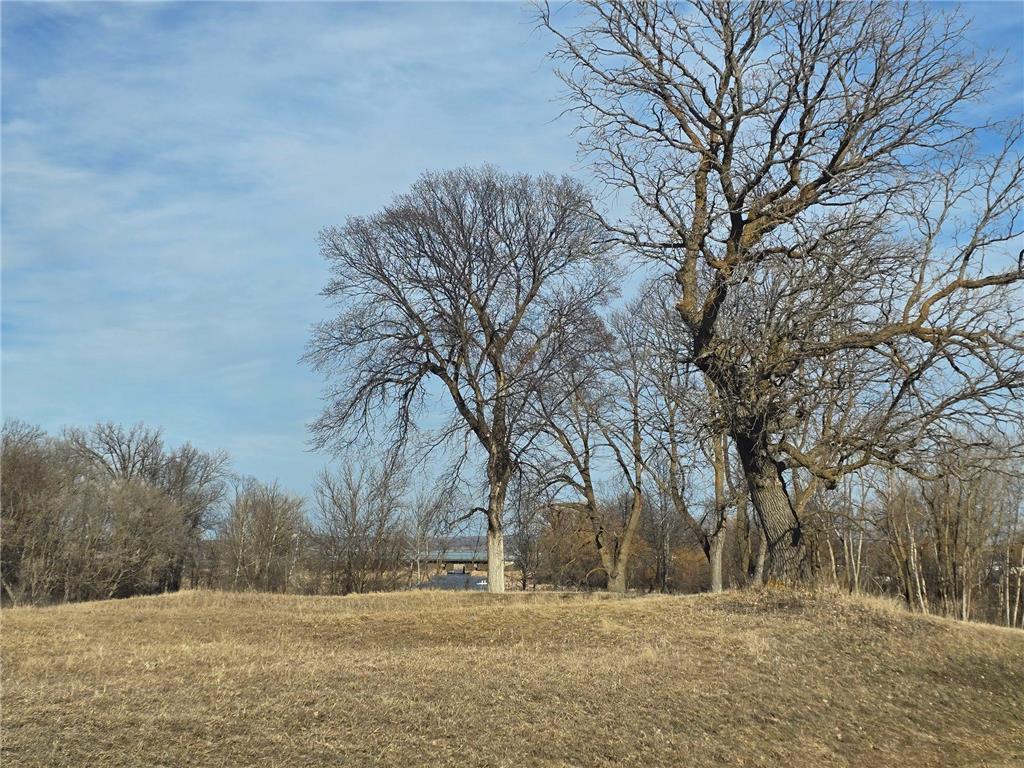 Lot 8 Branch Creek Road Detroit Lakes MN 56501 - Detroit 7049051 image5