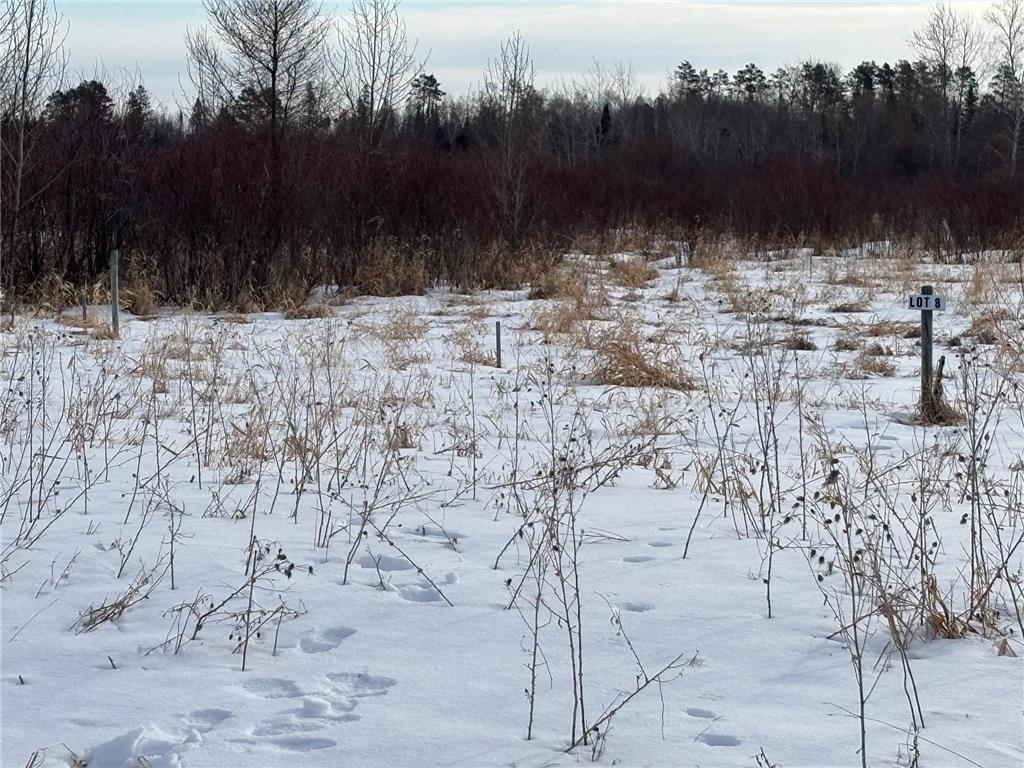 Lot 8 Irvine Avenue NW Bemidji MN 56601 7028266 image4