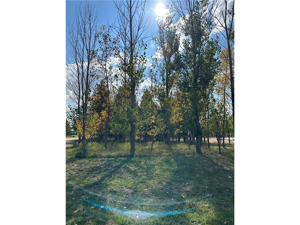 Lot #8 Lidstrom Road Detroit Twp MN 56501 6484195 image1