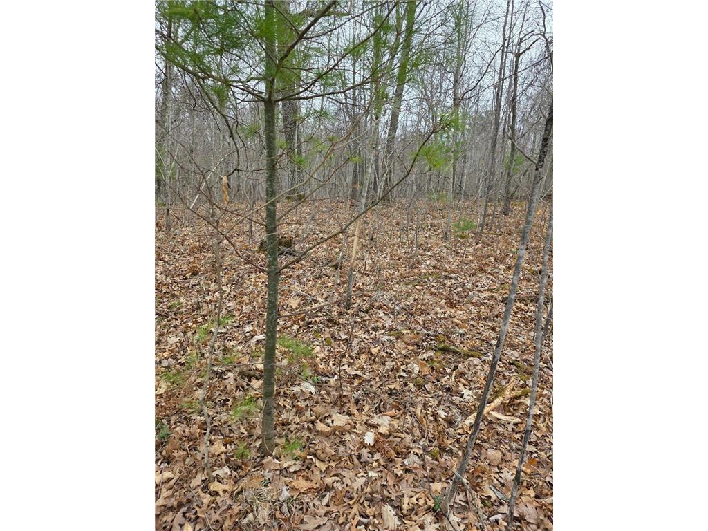 Lot 8 Lukes Lane Scott Twp WI 54830 6713276 image1